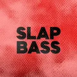 DFM Slap Bass прямой эфир Логотип радиостанции DFM Slap Bass